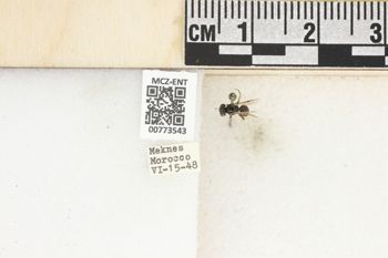 Media type: image;   Entomology 773543 Aspect: Labels